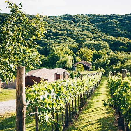 Bed and Breakfast Dutch Hill Zalacsány Exteriér fotografie