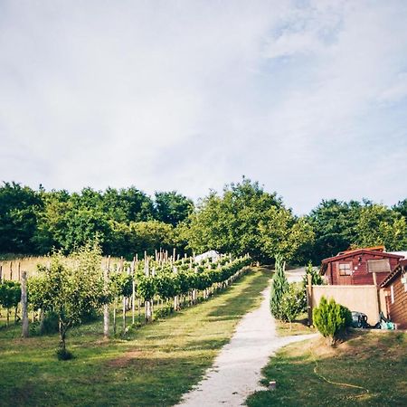Bed and Breakfast Dutch Hill Zalacsány Exteriér fotografie
