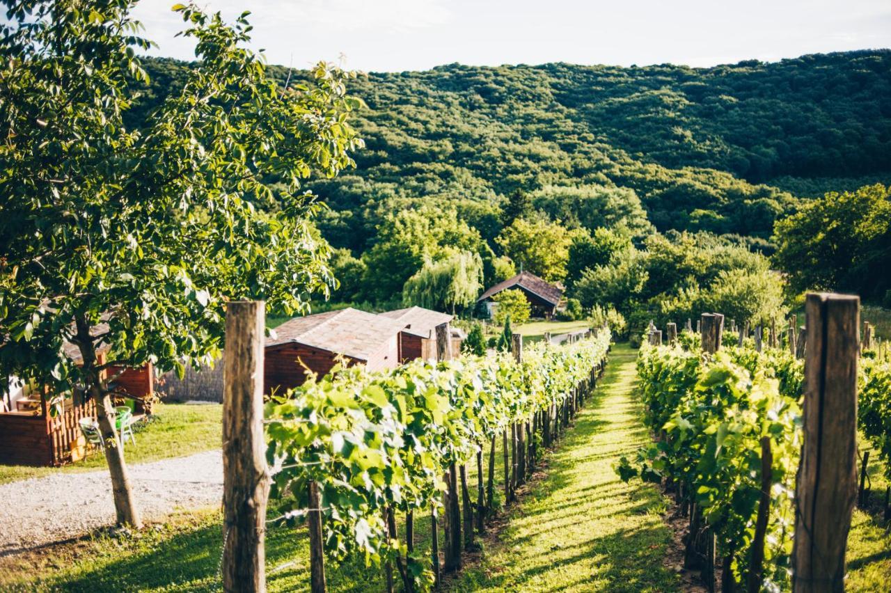 Bed and Breakfast Dutch Hill Zalacsány Exteriér fotografie