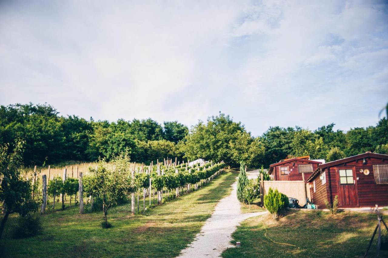 Bed and Breakfast Dutch Hill Zalacsány Exteriér fotografie